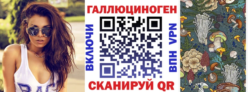 Галлюциногенные грибы GOLDEN TEACHER  нарко площадка телеграм  Советск 